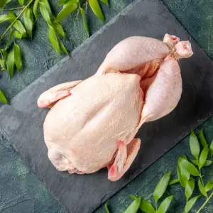 import frozen chicken from China